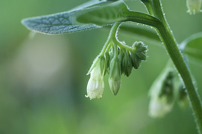 BUITEN BEELD Foto: 297126