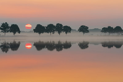 BUITEN BEELD Foto: 297139