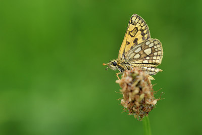 BUITEN BEELD Foto: 297168