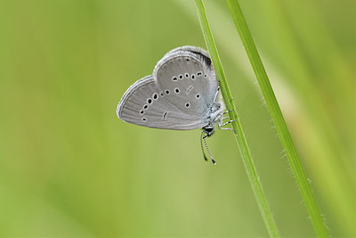 BUITEN BEELD Foto: 297216