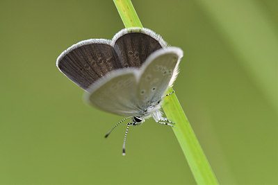 BUITEN BEELD Foto: 297220