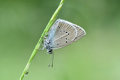 BUITEN BEELD Foto: 297241