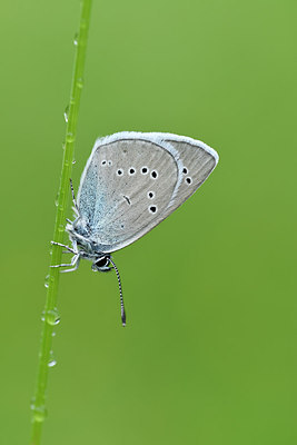 BUITEN BEELD Foto: 297247