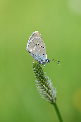 BUITEN BEELD Foto: 297249