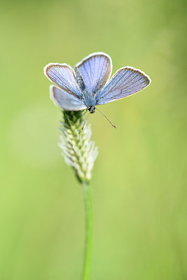 BUITEN BEELD Foto: 297252