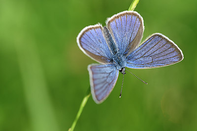 BUITEN BEELD Foto: 297256