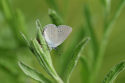 BUITEN BEELD Foto: 297260