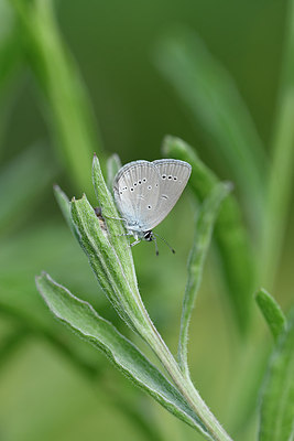 BUITEN BEELD Foto: 297261