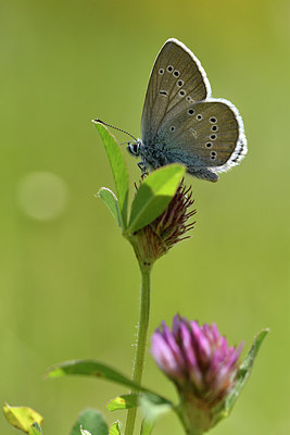 BUITEN BEELD Foto: 297271