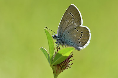 BUITEN BEELD Foto: 297272