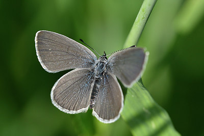 BUITEN BEELD Foto: 297277