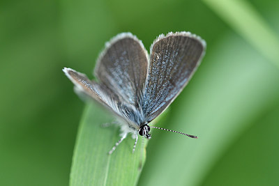 BUITEN BEELD Foto: 297278