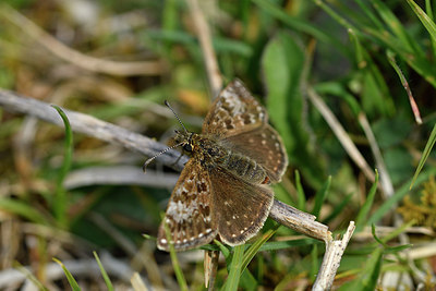 BUITEN BEELD Foto: 297312