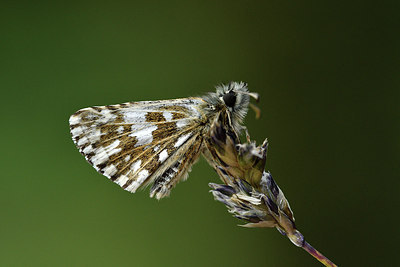 BUITEN BEELD Foto: 297313