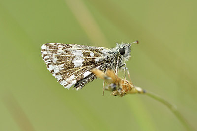 BUITEN BEELD Foto: 297315