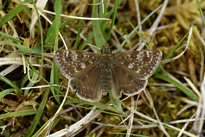 BUITEN BEELD Foto: 297318