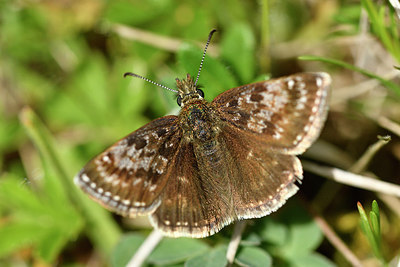 BUITEN BEELD Foto: 297321