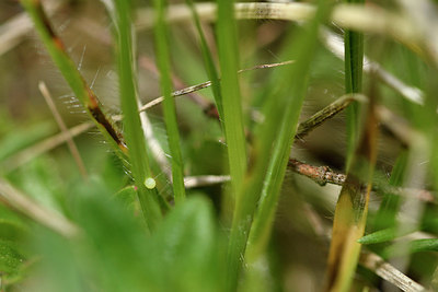 BUITEN BEELD Foto: 297322