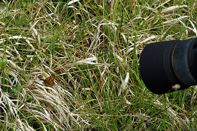 BUITEN BEELD Foto: 297323