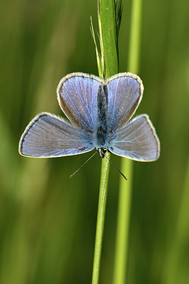 BUITEN BEELD Foto: 297345