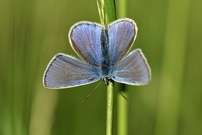 BUITEN BEELD Foto: 297346