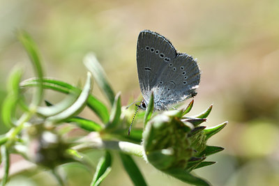 BUITEN BEELD Foto: 297352