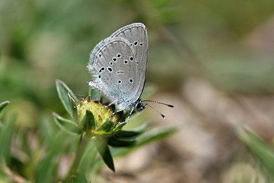 BUITEN BEELD Foto: 297353