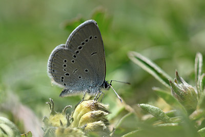 BUITEN BEELD Foto: 297354