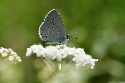 BUITEN BEELD Foto: 297355