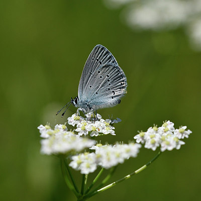 BUITEN BEELD Foto: 297356