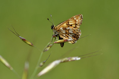 BUITEN BEELD Foto: 297359