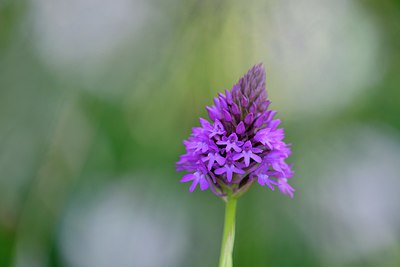 BUITEN BEELD Foto: 297384
