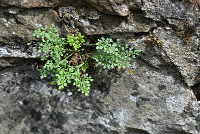 BUITEN BEELD Foto: 297431
