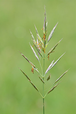 BUITEN BEELD Foto: 297443