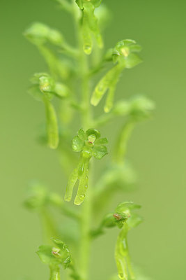 BUITEN BEELD Foto: 297465