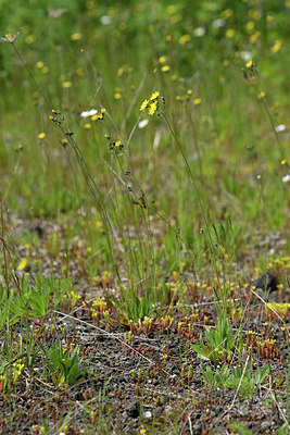 BUITEN BEELD Foto: 297473