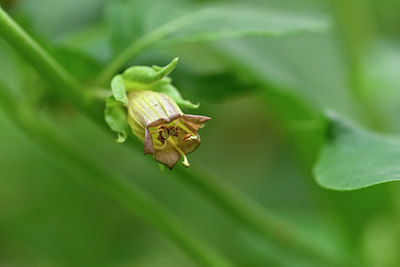 BUITEN BEELD Foto: 297503