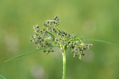 BUITEN BEELD Foto: 297545