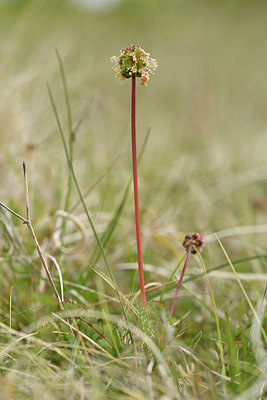 BUITEN BEELD Foto: 297561