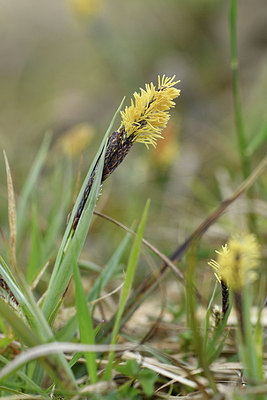 BUITEN BEELD Foto: 297583