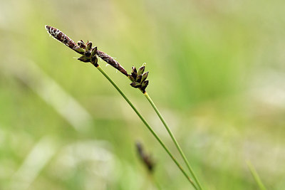 BUITEN BEELD Foto: 297588