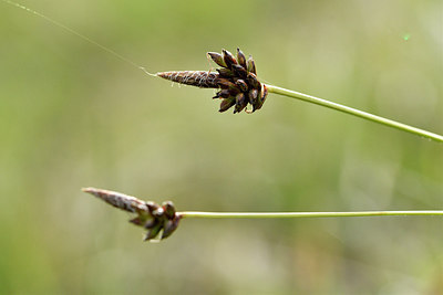 BUITEN BEELD Foto: 297590