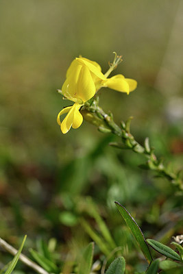 BUITEN BEELD Foto: 297591