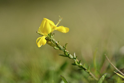 BUITEN BEELD Foto: 297592