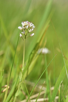 BUITEN BEELD Foto: 297593