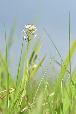 BUITEN BEELD Foto: 297594