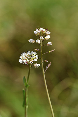 BUITEN BEELD Foto: 297601