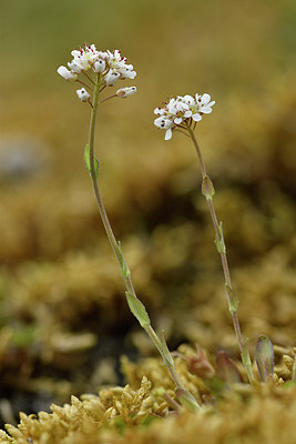 BUITEN BEELD Foto: 297625