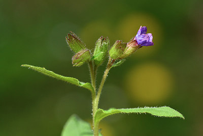 BUITEN BEELD Foto: 297642