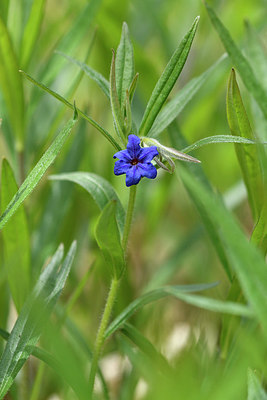 BUITEN BEELD Foto: 297656